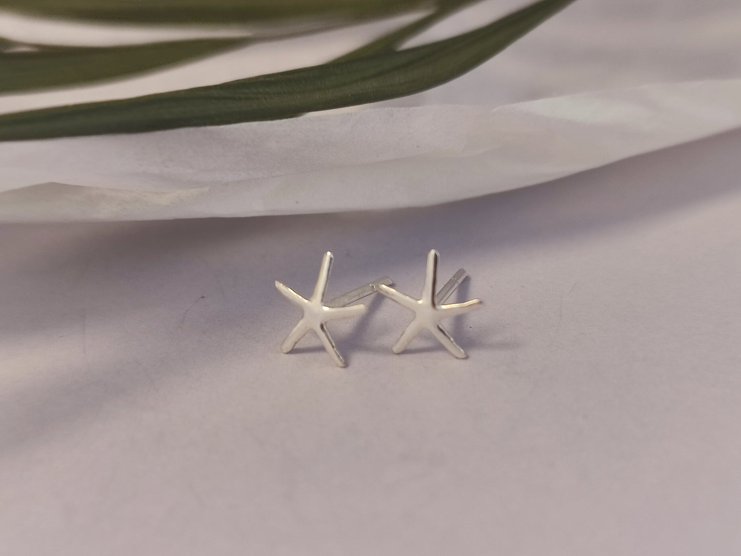 Small starfish studs